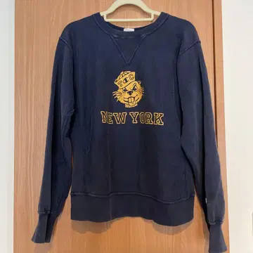 Champion 챔피온 리버스 위브 C3B013 네이비 L