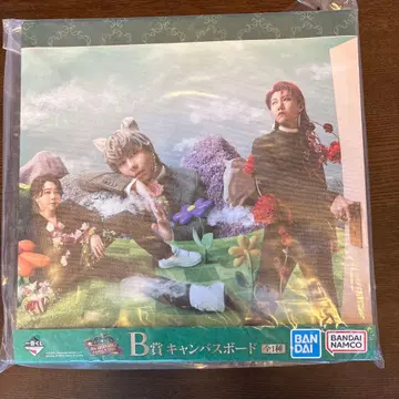 Mrs. GREEN APPLE B상 캔버스 보드