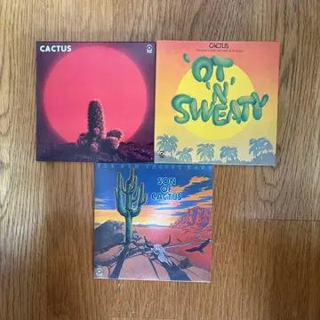 캑터스 종이 재킷 3장 세트 오비 포함