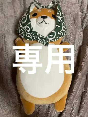 [ 새상품급 ] 봉제 인형 시바견