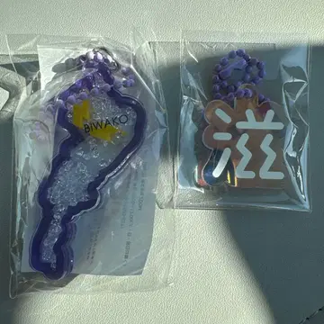 미치노에키 쿠사츠 한정판 비와코+시가 키링 보라색