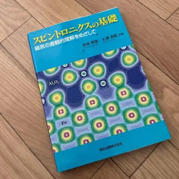 스핀트로닉스의 기초 자기장의 직관적 이해를 목표로