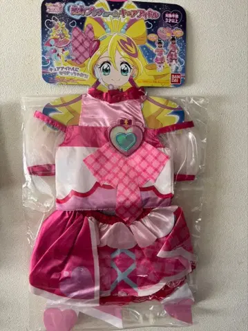 너와 아이돌 프리큐어 변신 프리츄움