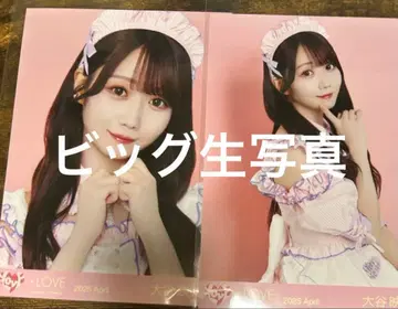 오타니 에미리 빅 브로마이드 다이너 의상 요리츄