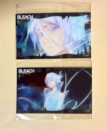 BLEACH 후목 루키아 클리어 카드 컬렉션