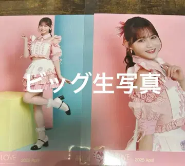 타카마츠 히토미 빅 브로마이드 다이너 의상 츄히키