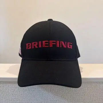 BRIEFING 캡