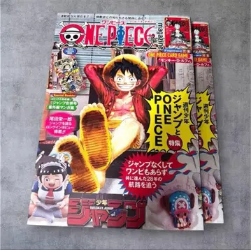 원피스 매거진 20호 2권 특별 부록 루피 프로모 카드 2장