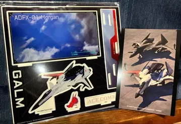 에이스 컴뱃 30th 아크릴 디오라마 + 엠블럼 돔 핀 배지