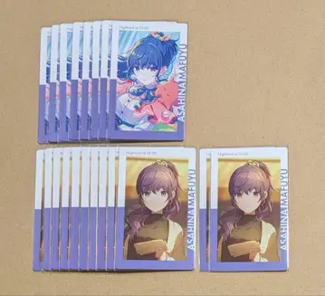 프로세카 아사히나 마후유 23C 에피카 니고