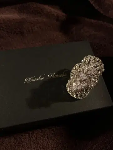 타나카 다이스케 dropped bijou armor ring
