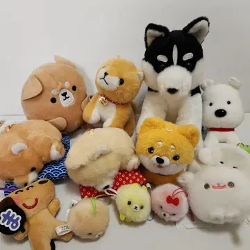 강아지 콩 시바 포메라니안 마스코트 모음