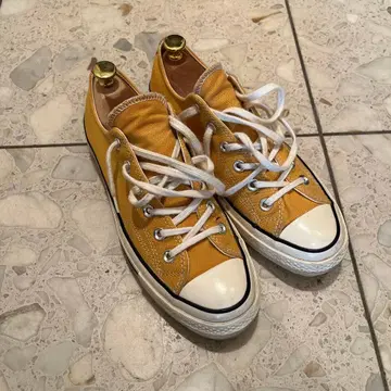 [ 25.5cm ] CT70 썬플라워