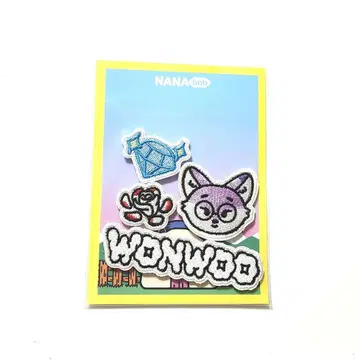 SEVENTEEN NANA bnb 와펜 원우 세부치 나나 민박