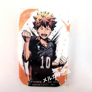 하이큐 캔뱃지 히나타 쇼요 갓츠 포즈