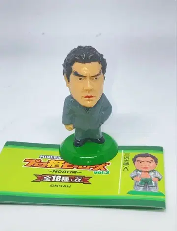 프로 격투 히어로즈 vol.3 시크릿 미스터 삼관 미사와 미츠하루