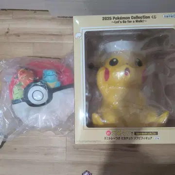 2025 포켓몬 컬렉션 피카츄