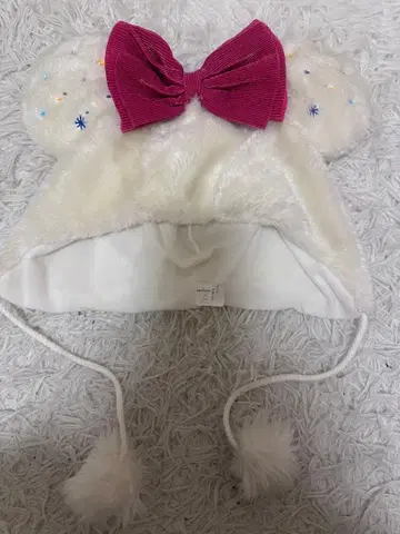 디즈니 팬캡 미니 25주년