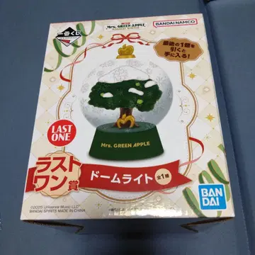 Mrs. GREEN APPLE 돔 라이트 LAST ONE상
