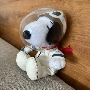 스누피 SNOOPY 우주복 플로리다 NASA 한정판