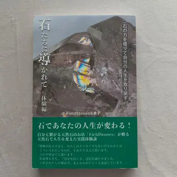 돌들에 이끌려 FieldStones