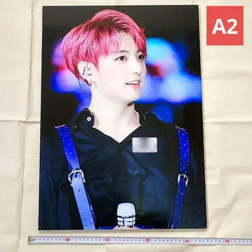 배송비 포함 BTS 정국 액자 A2 사이즈