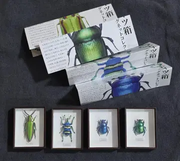 독일 상자 마그넷 컬렉션 4