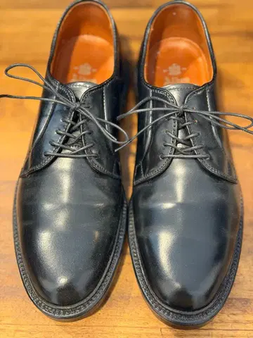 Alden 알든 9901 블랙 코도반 플레인토