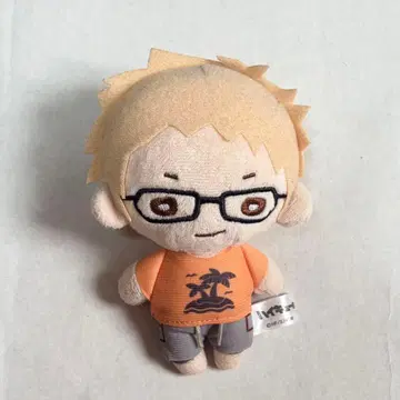 [ 익명 배송 ] 하이큐 츠키시마 케이 니토탄 봉제 인형