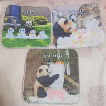 어드벤처 월드 미니 타월 나가히라 요시하마 유이하마 가챠