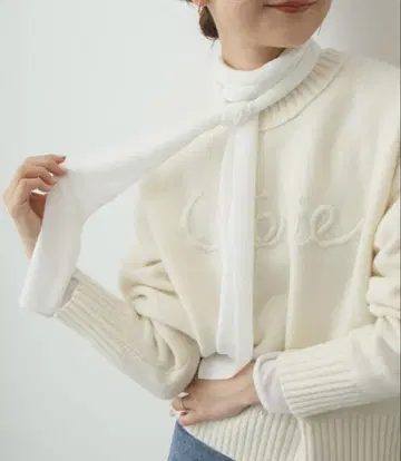 SLOBE IENA (슬로브 이에나) BIG 시어 보타이 티셔츠