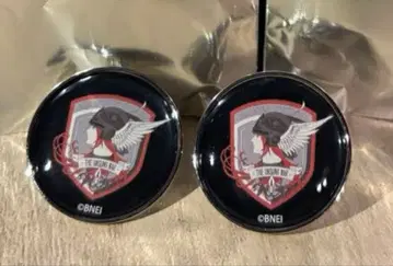 에이스 컴뱃 Razgriz  엠블럼 돔 핀 배지