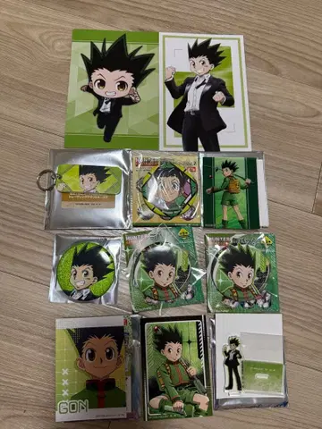 HUNTER x HUNTER 애니메이트 페어 곤