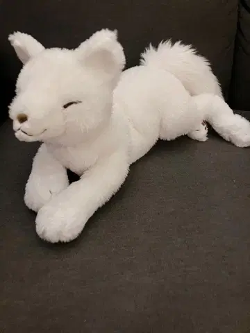 선레몬 무릎여우