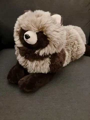 산레몬 무릎 너구리