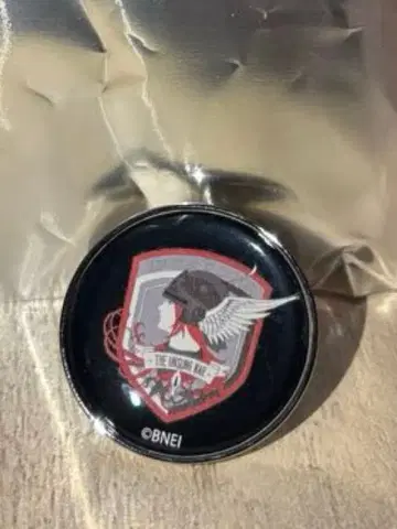 에이스 컴뱃 RAZGRIZ + GALM 엠블럼 돔 핀 배지 2개