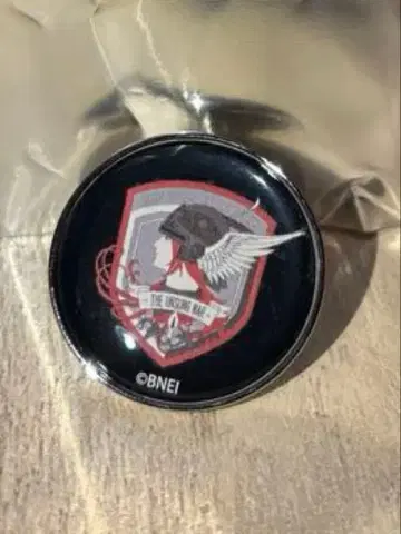 에이스 컴뱃 30th 굿즈 엠블럼 돔 핀 배지 3종 세트