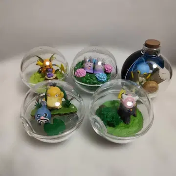 포켓몬 테라리움 5개