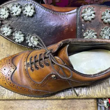 FOOTJOY 풋조이 윙팁 골프화 브라운