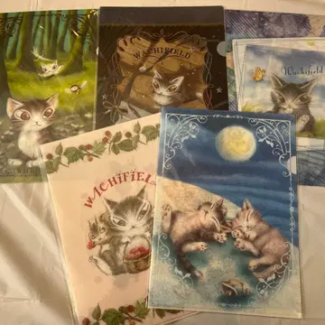 미사용 새상품 와치필드 다얀 클리어 파일 5장 세트