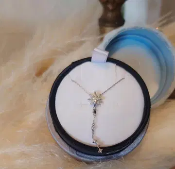 할인 반돔 아오야마 플라티나 목걸이