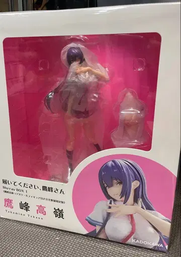 KADOKAWA 타카미네 타카네 피규어