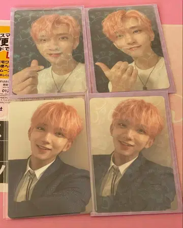 SEVENTEEN 춤추는 꽃잎 조슈아