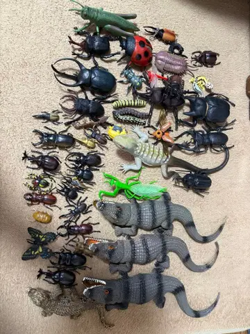 곤충 묶음 판매 세트