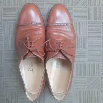 TANINO CRISCI 브라운 드레스 신발