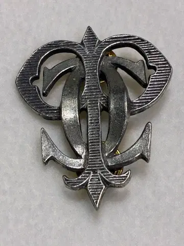 환상의 카버데일 페이지 핀 배지 헤드