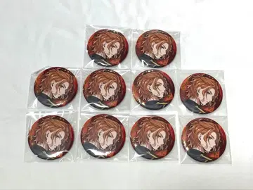 케이트 다이아몬드 브레이징 주얼 캔뱃지 10개