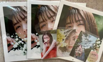 코시바 후카 2026 달력 Flower 3권 엽서 포함 새상품 미개봉