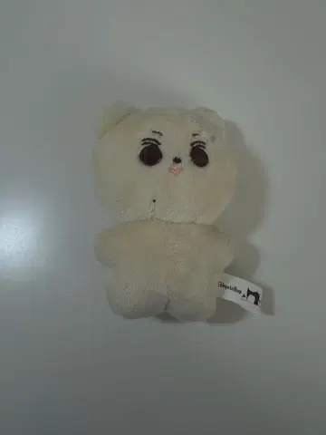 ENHYPEN 정원 인형