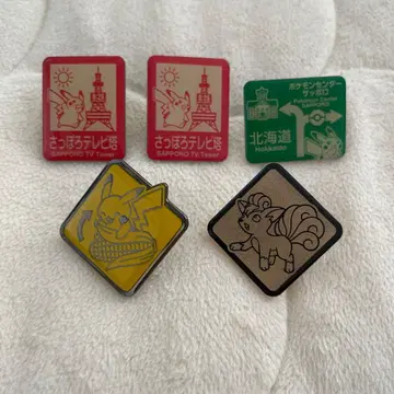 포켓몬 센터 지역 한정 핀즈 컬렉션 홋카이도 피카츄 로콘